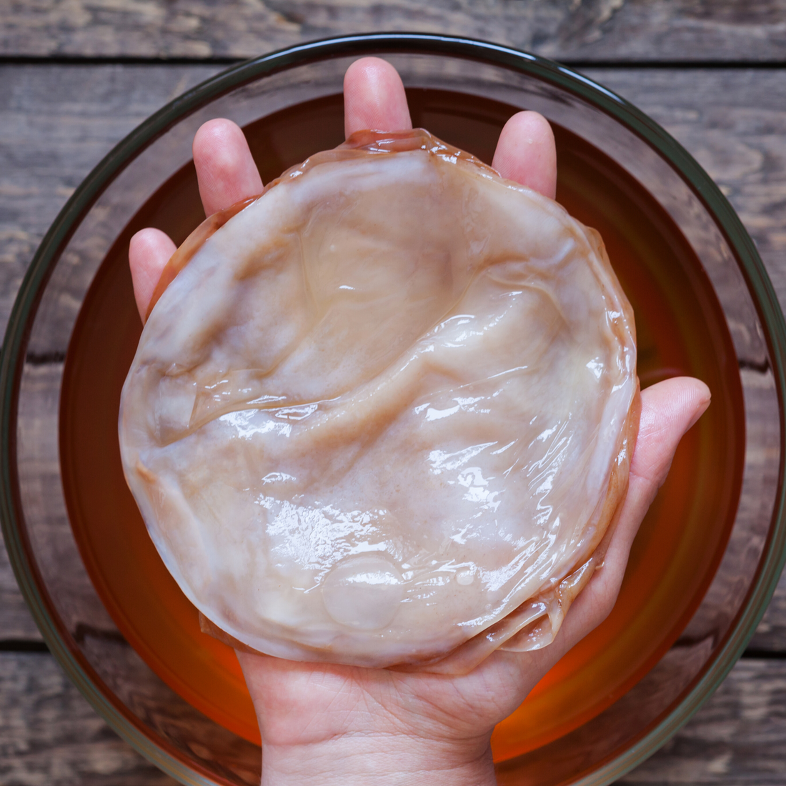 What is Kombucha?