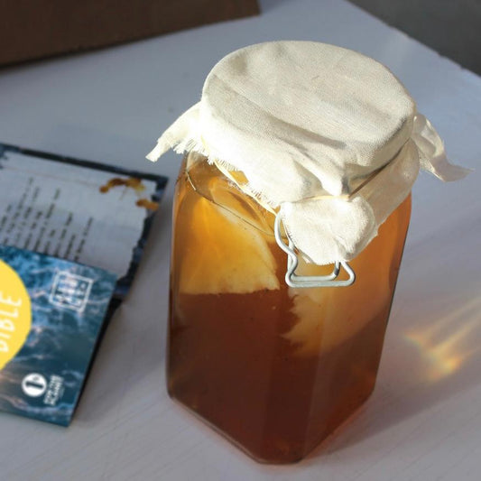 A homemade kombucha brew in progress from All About Kombucha — a glass jar filled with fermenting tea and a SCOBY, covered with a cloth lid to allow airflow during fermentation.
